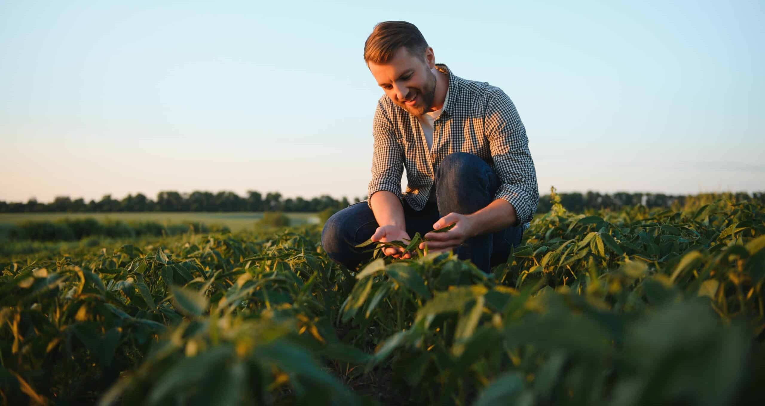 Young male farmer in field